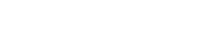 PRMG Consulting
